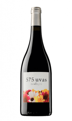 575 UVAS (Salamanca)