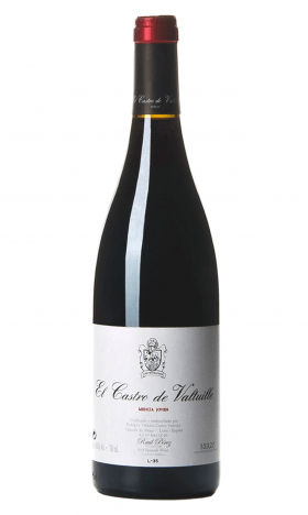 CASTRO DE VALTUILLE BARRICA (Bierzo)