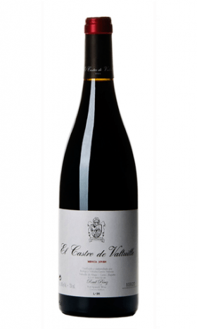 EL CASTRO DE VALTUILLE (Bierzo)