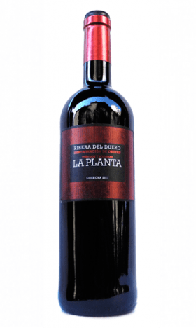 LA PLANTA (Ribera del Duero)