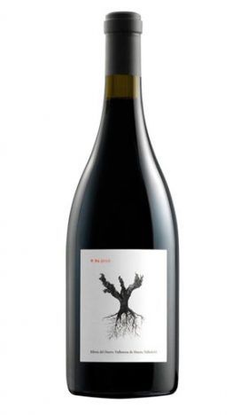 P.S.I. (Ribera del Duero)