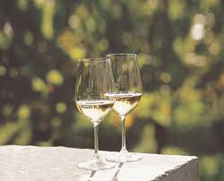 Buy Spanish Txakoli from USA - Spanish Txakoli Selection 2024 BuySherryWine
